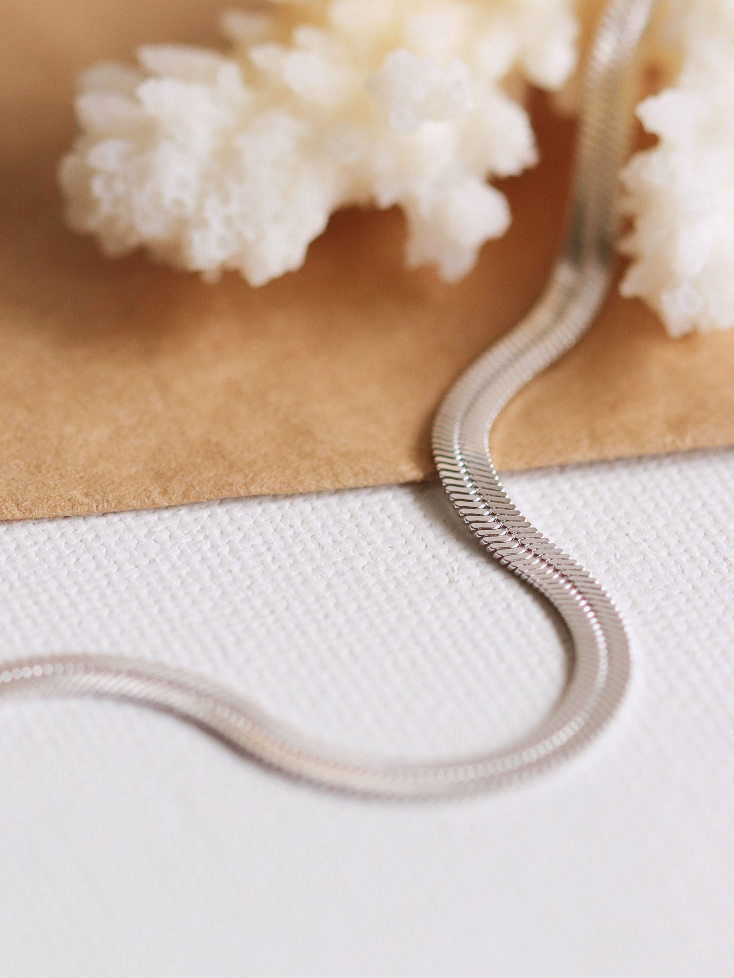 collar snake, collar plateado, collar plano