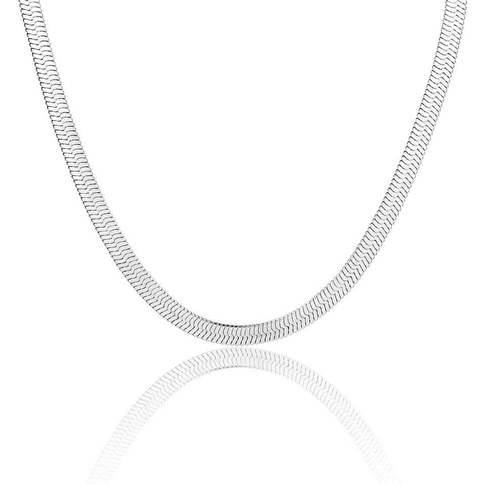 collar snake, collar plateado, collar plano