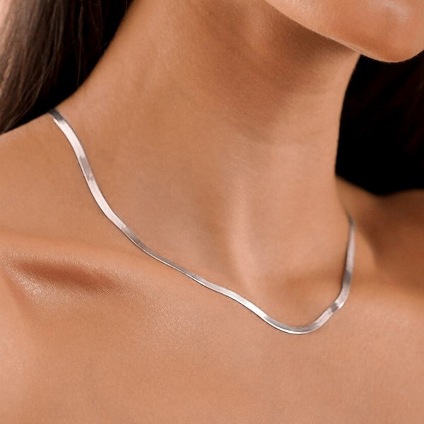 collar snake, collar plateado, collar plano